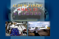 sfj1